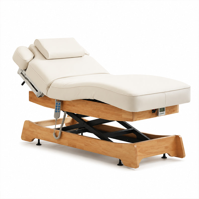 3 Motors Electric Professional Massage Table DMC25