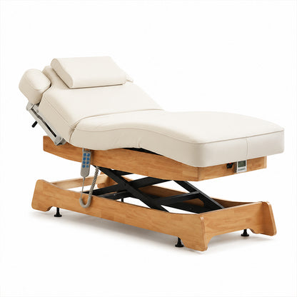 3 Motors Electric Professional Massage Table DMC25