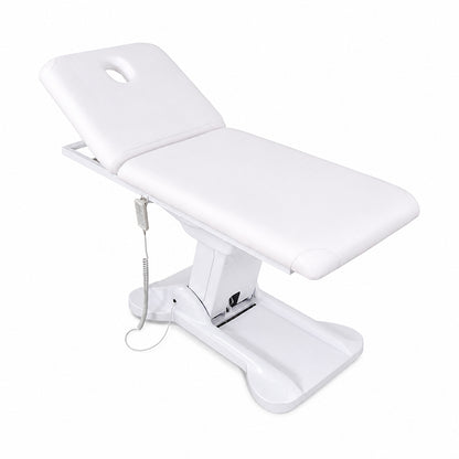 2 Motors Electric Luxury Massage & Spa Bed YMC1