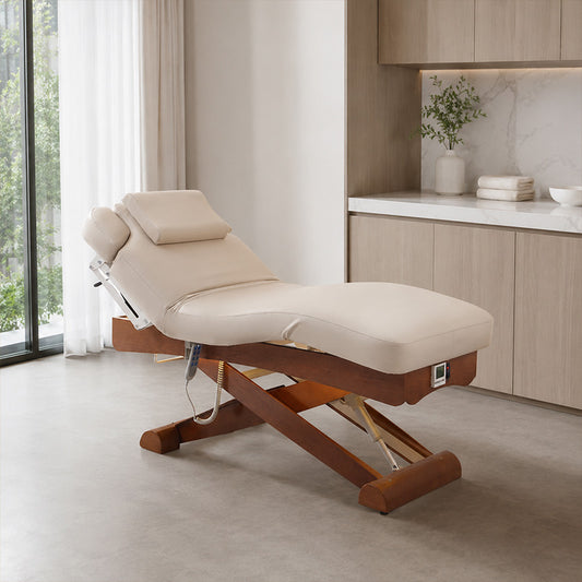 3 Motors Electric Massage & Treatment Bed DMC19