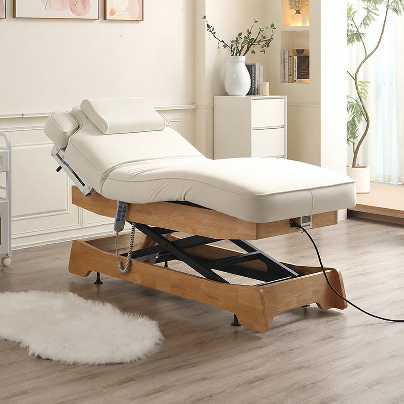 3 Motors Electric Professional Massage Table DMC25