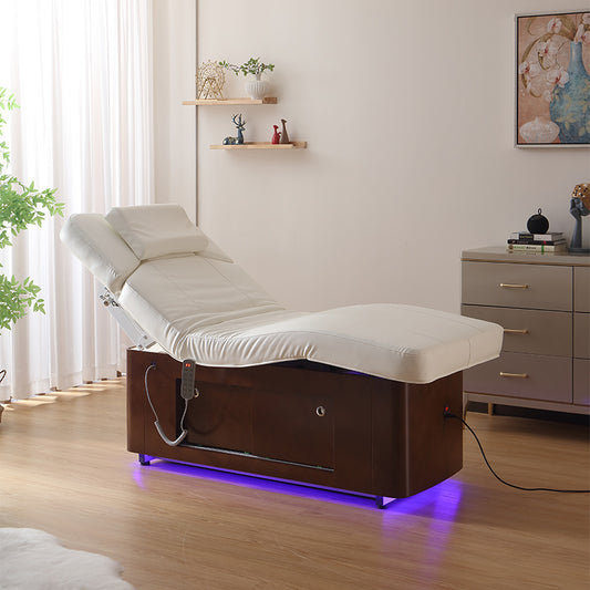 4 Motors Electric Facial Treatment Table DMC41