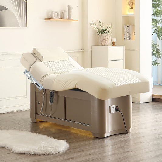 2 Motors Electric Facial & Massage Bed DMC28