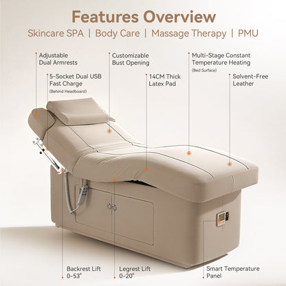 4 Motors Electric Facial & Massage Treatment Table DMC1