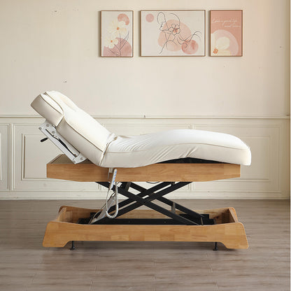 3 Motors Electric Professional Massage Table DMC25