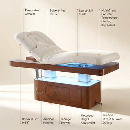 4 Motors Electric Massage Therapy Table DMC45