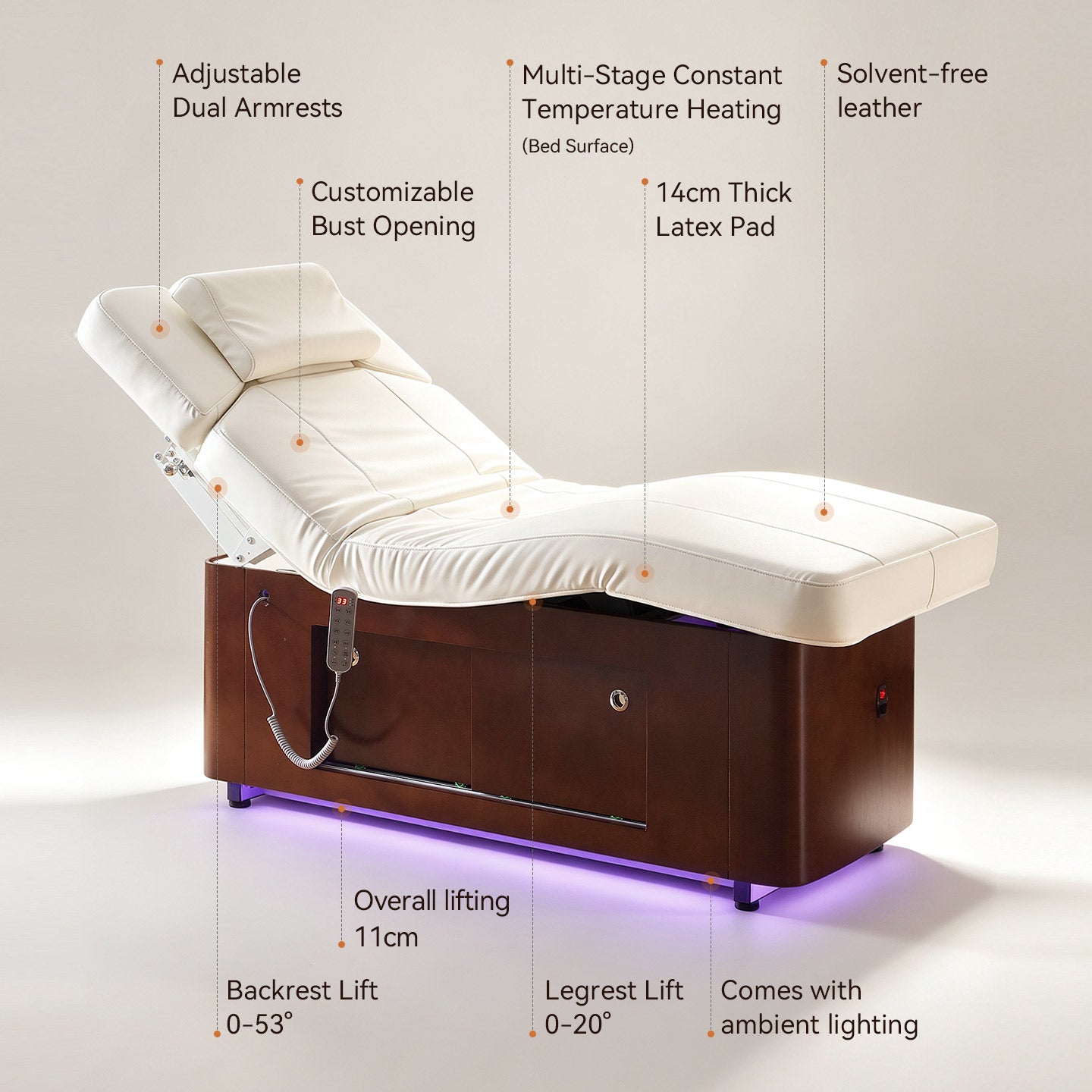 4 Motors Electric Facial Treatment Table DMC41