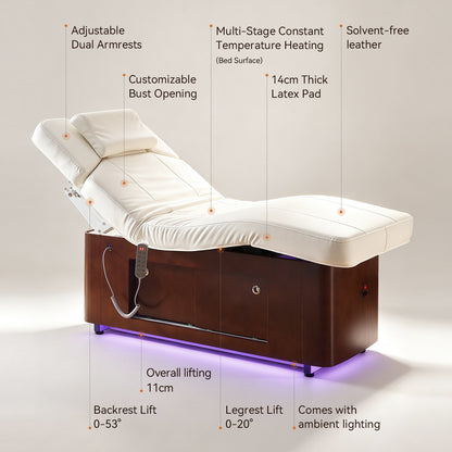 4 Motors Electric Facial Treatment Table DMC41