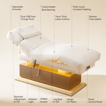 Luxury 4 Motors Electric Facial & Massage Bed DMC38