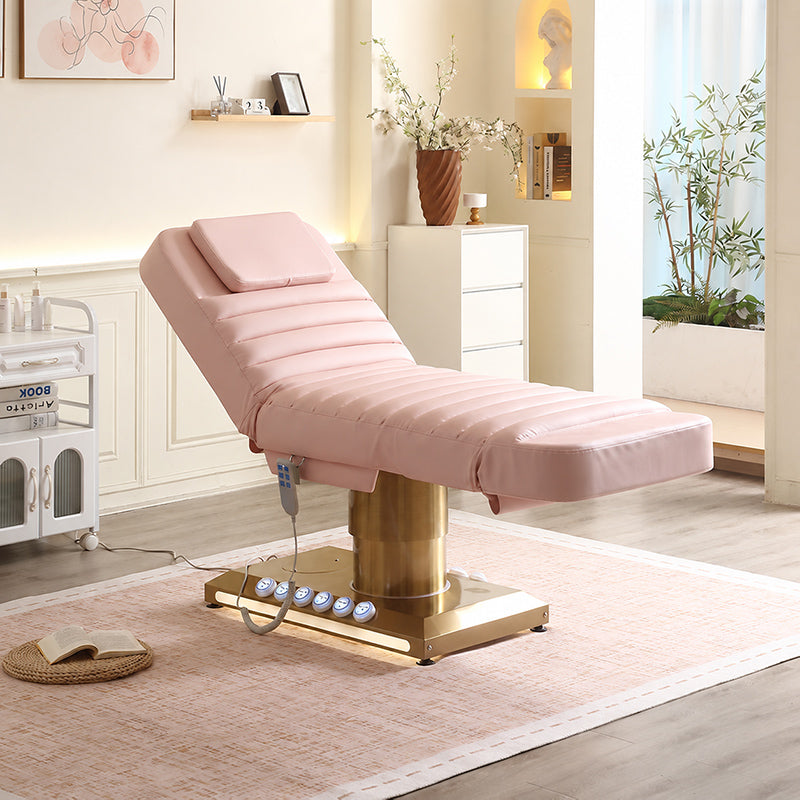 3 Motors Electric Pink Therapy Treatment Table DMC22