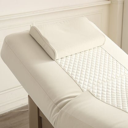2 Motors Electric Facial & Massage Bed DMC28