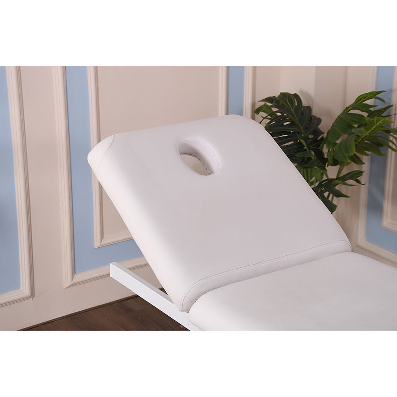 2 Motors Electric Luxury Massage & Spa Bed YMC1