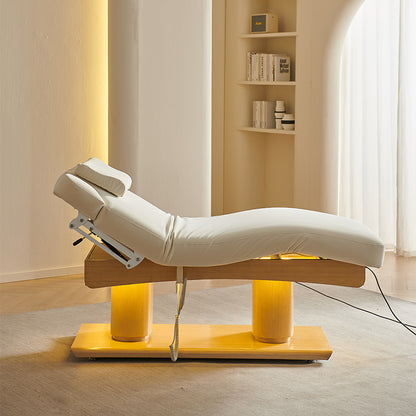 4 Motors Electric Luxury Massage Treatment Table DMC15