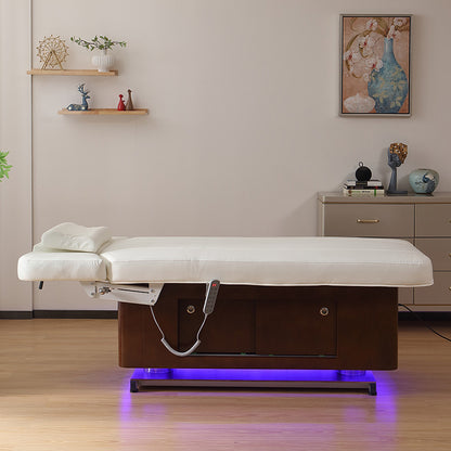 4 Motors Electric Facial Treatment Table DMC41