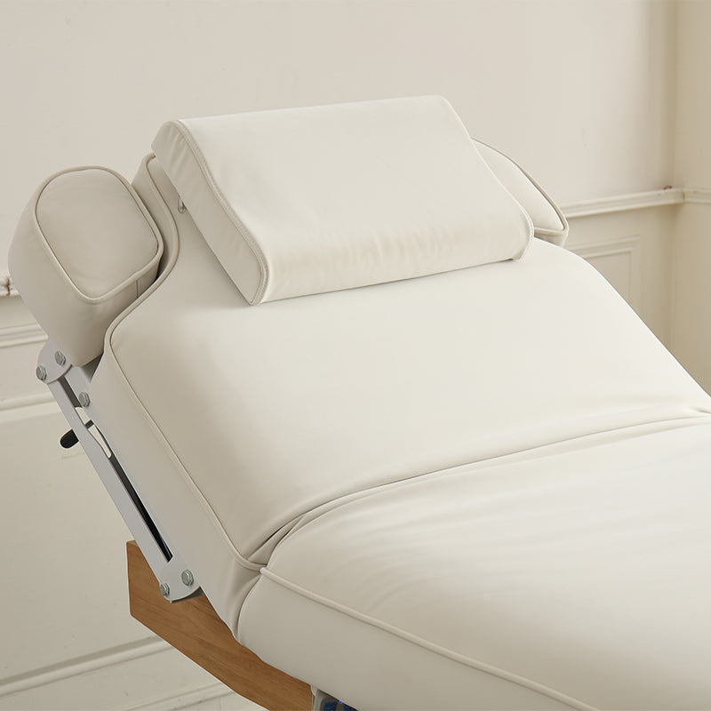 3 Motors Electric Professional Massage Table DMC25