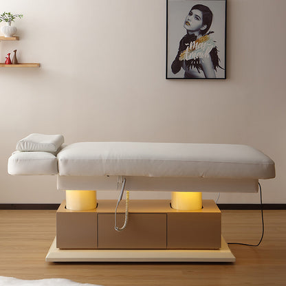Luxury 4 Motors Electric Facial & Massage Bed DMC38