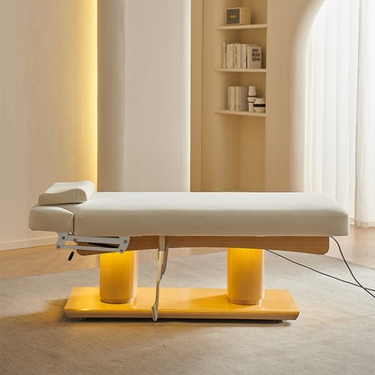 4 Motors Electric Luxury Massage Treatment Table DMC15