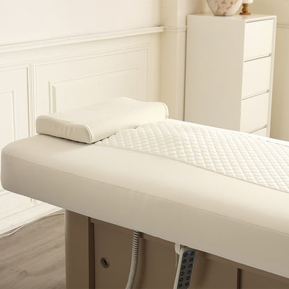 2 Motors Electric Facial & Massage Bed DMC28