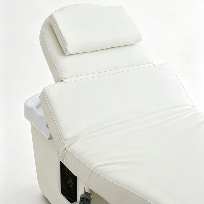 2 Motors Electric Spa Table with & Shampoo Basin TX22
