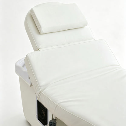 2 Motors Electric Spa Table with & Shampoo Basin TX22