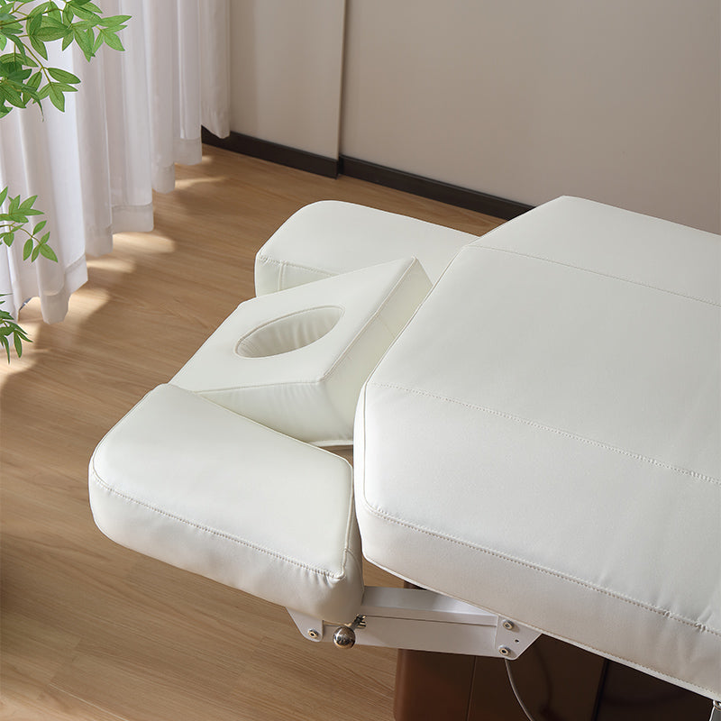 4 Motors Electric Facial Treatment Table DMC41