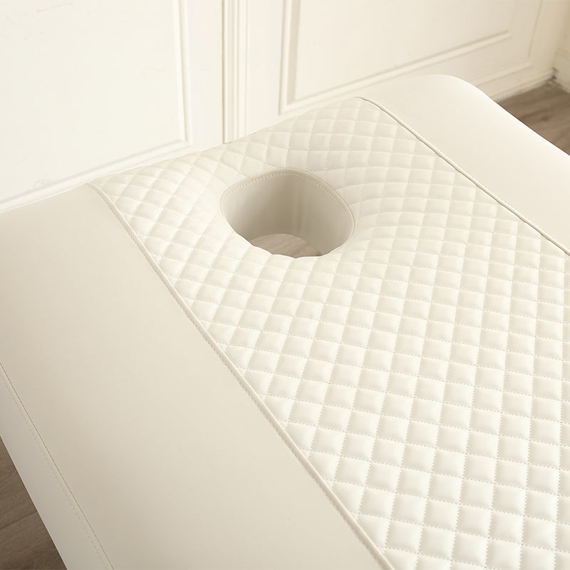 2 Motors Electric Facial & Massage Bed DMC28