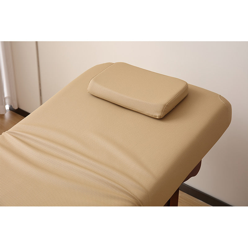 Manual Adjustable Massage & Spa table DMC39