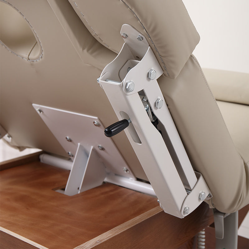 3 Motors Electric Massage & Treatment Bed DMC19