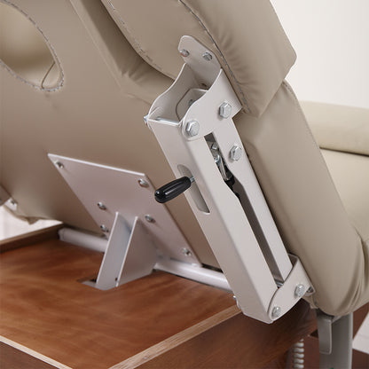 3 Motors Electric Massage & Treatment Bed DMC19
