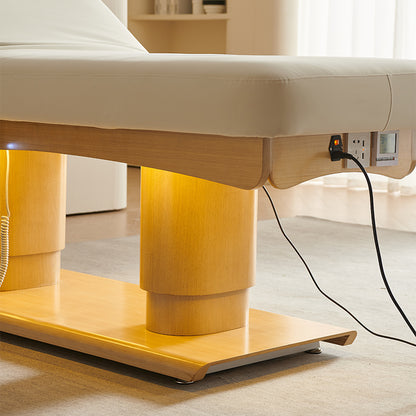 4 Motors Electric Luxury Massage Treatment Table DMC15