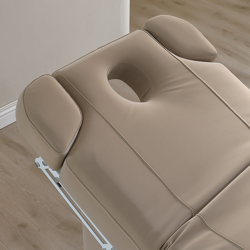 4 Motors Electric Facial & Massage Treatment Table DMC1