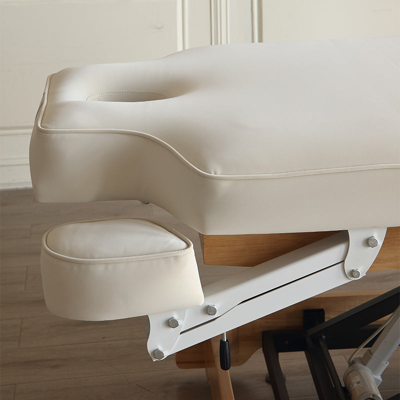 3 Motors Electric Professional Massage Table DMC25