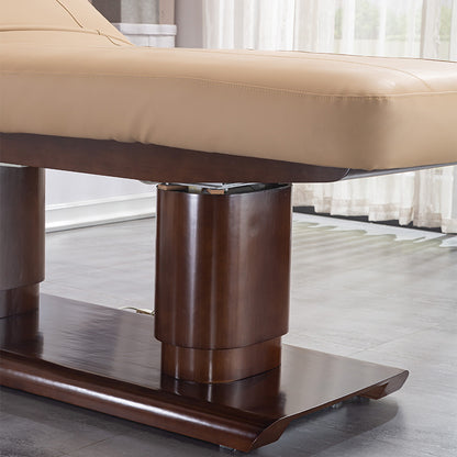 4 Motors Electric Luxury Esthetician Spa Bed DMC14