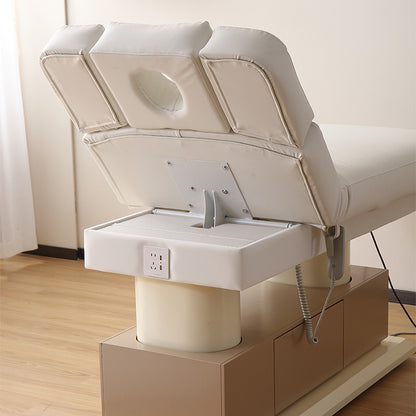 Luxury 4 Motors Electric Facial & Massage Bed DMC38